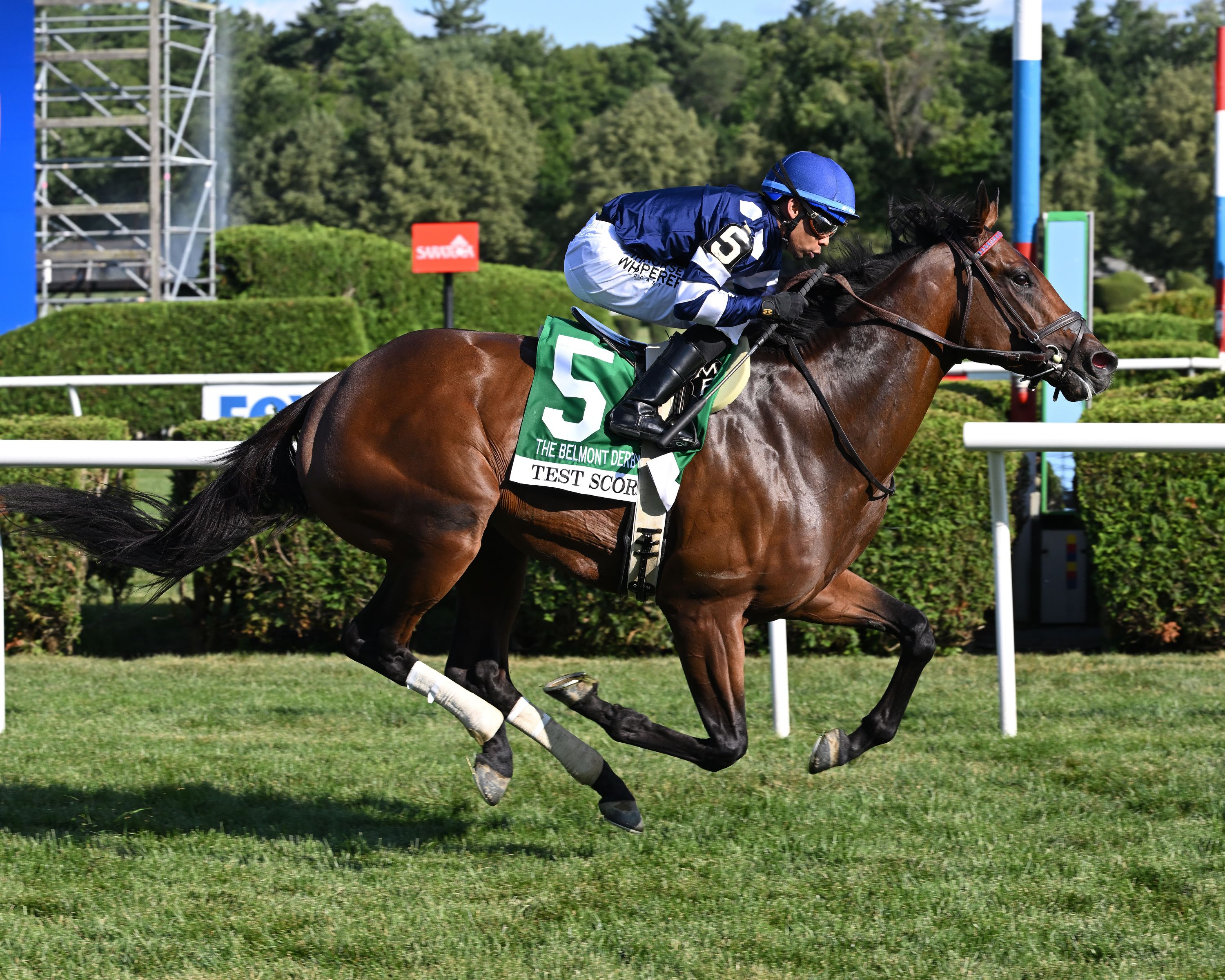 Test Score wins the 2025 Belmont Derby at Saratoga (Photo by Coglianese Photos)