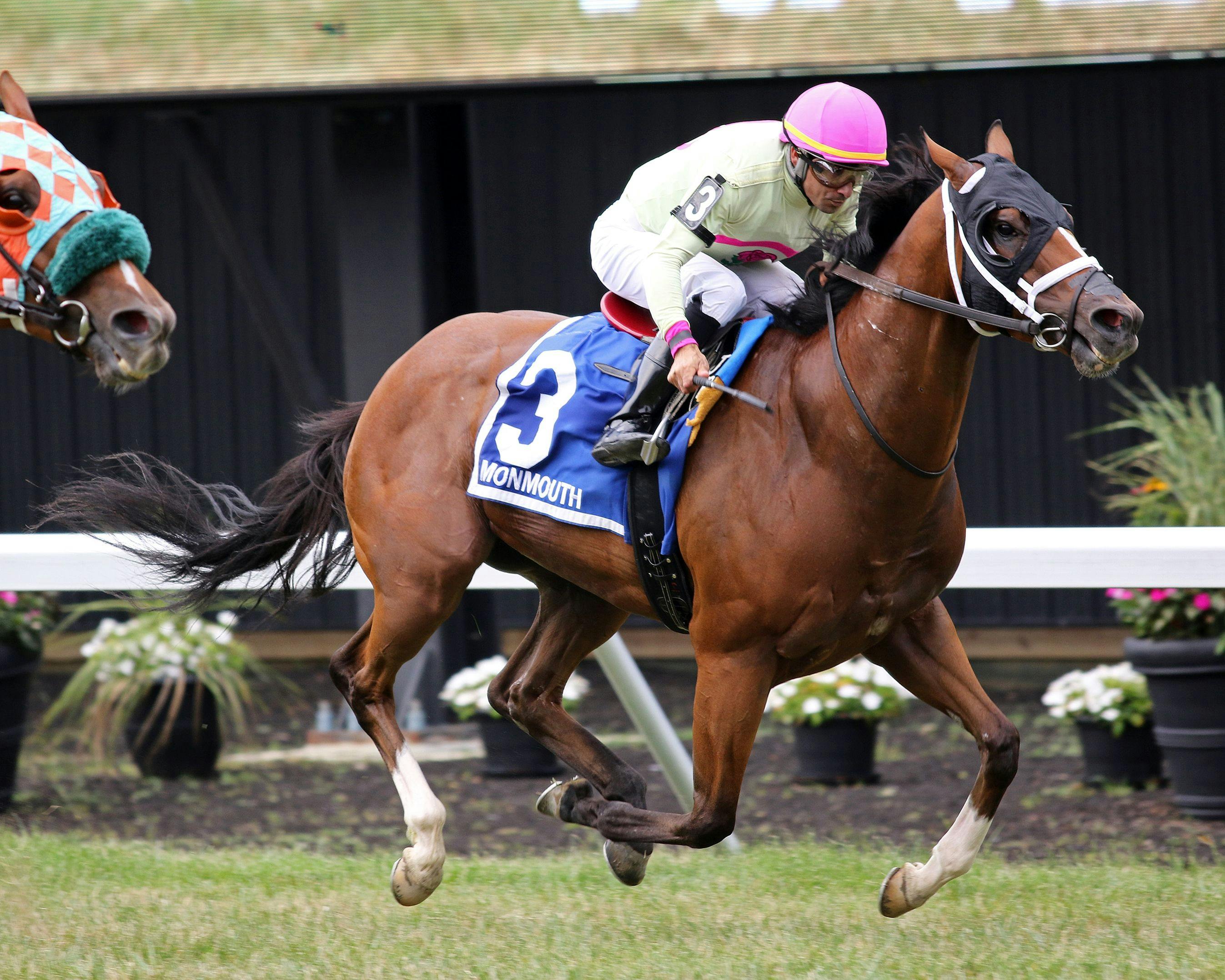 That's Right wins the Wolf Hill S. (Photo by Equi-Photo)