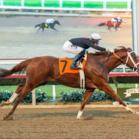 The Chosen Vron wins the Cary Grany Stakes at Del Mar 