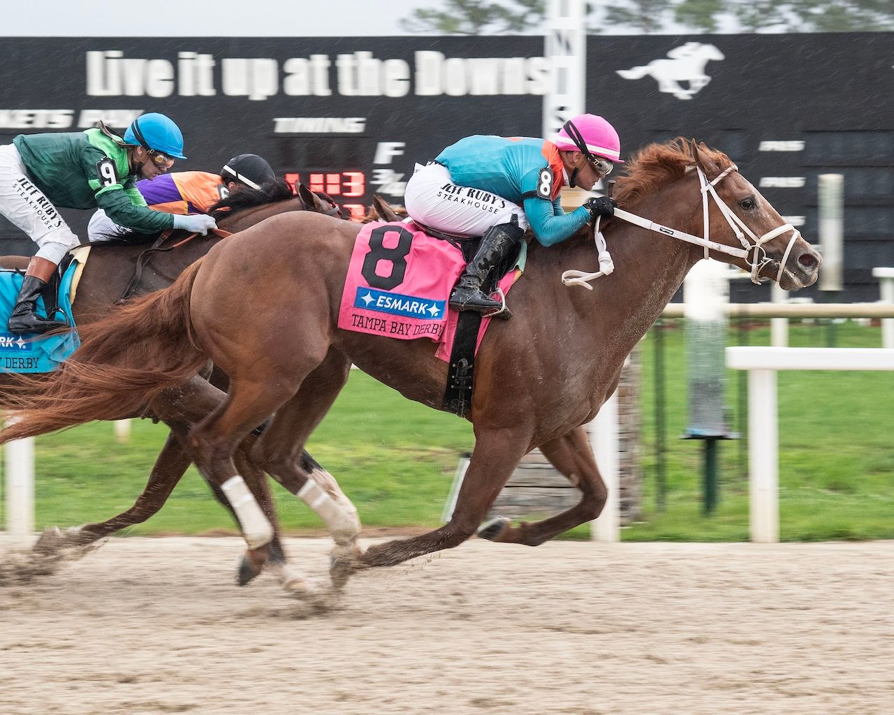 The Puma wins the Tampa Bay Derby at Tampa Bay Downs. 