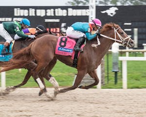 The Puma wins the Tampa Bay Derby at Tampa Bay Downs. 