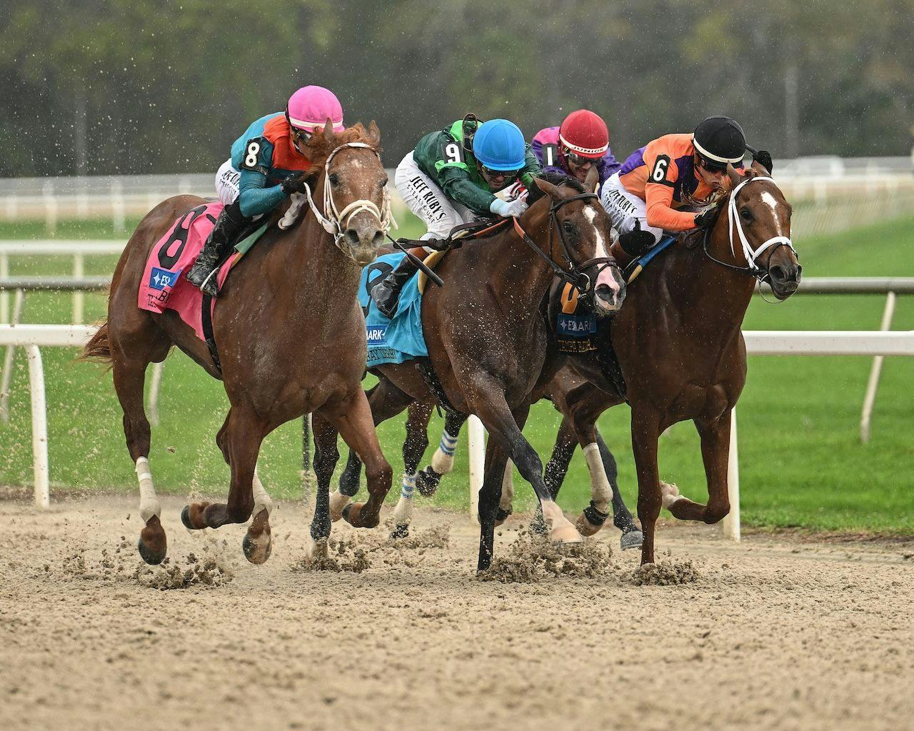 The Puma wins the Tampa Bay Derby at Tampa Bay Downs. 