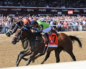 Thorpedo Anna wins the Personal Ensign (G1) at Saratoga. 