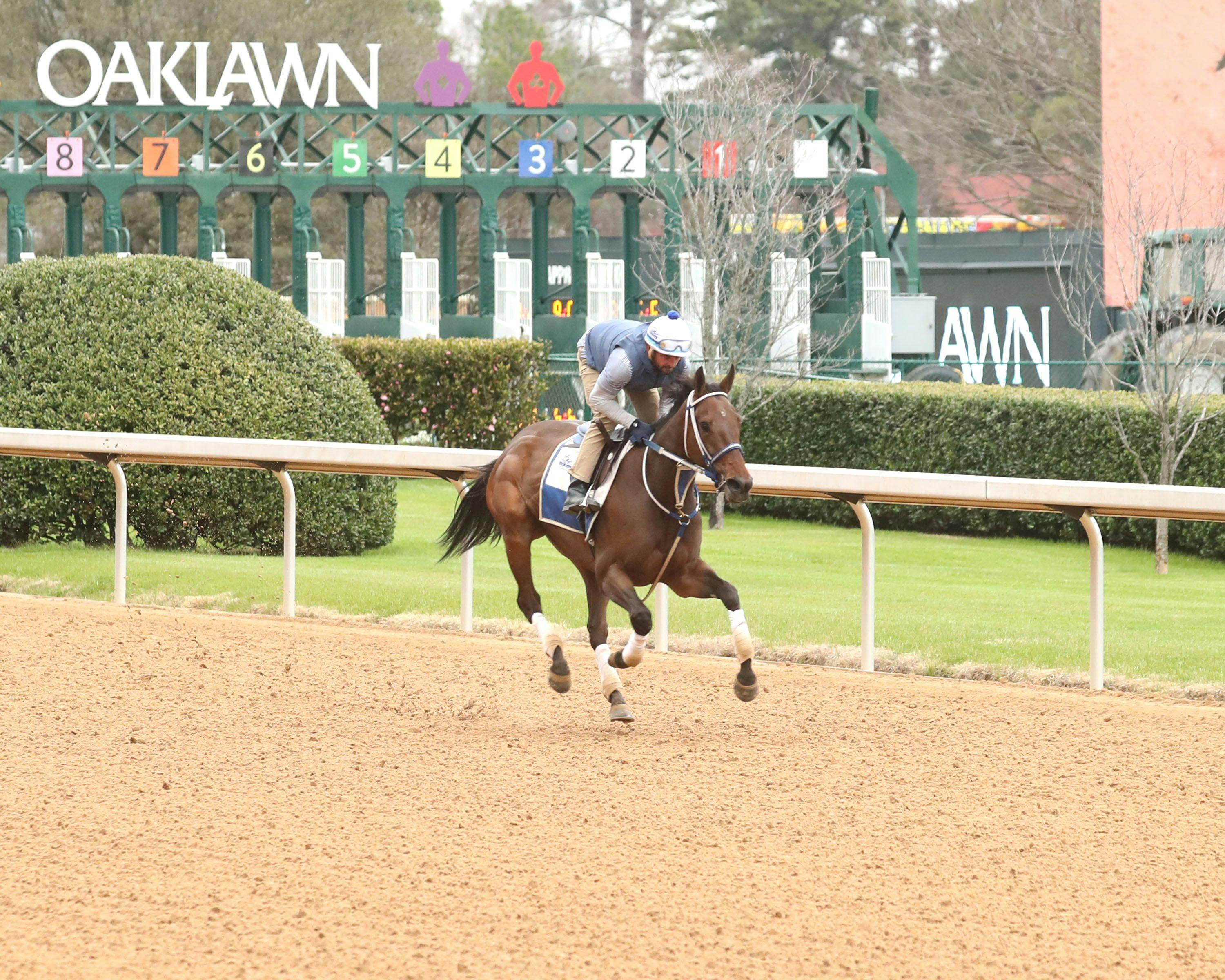 Thorpedo Anna training at Oaklawn Park. 