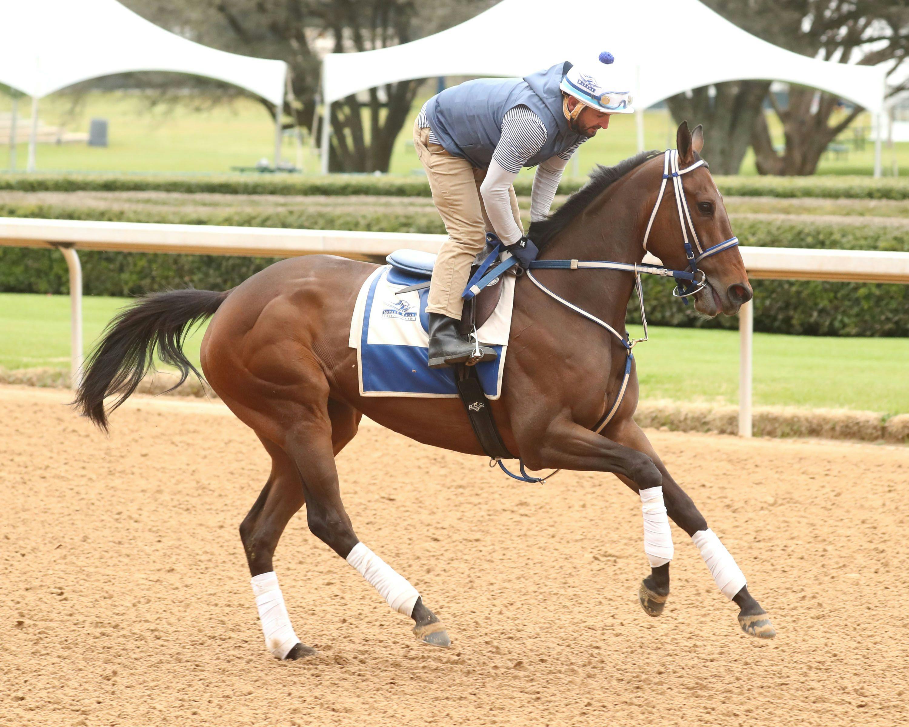 Thorpedo Anna training at Oaklawn Park. 