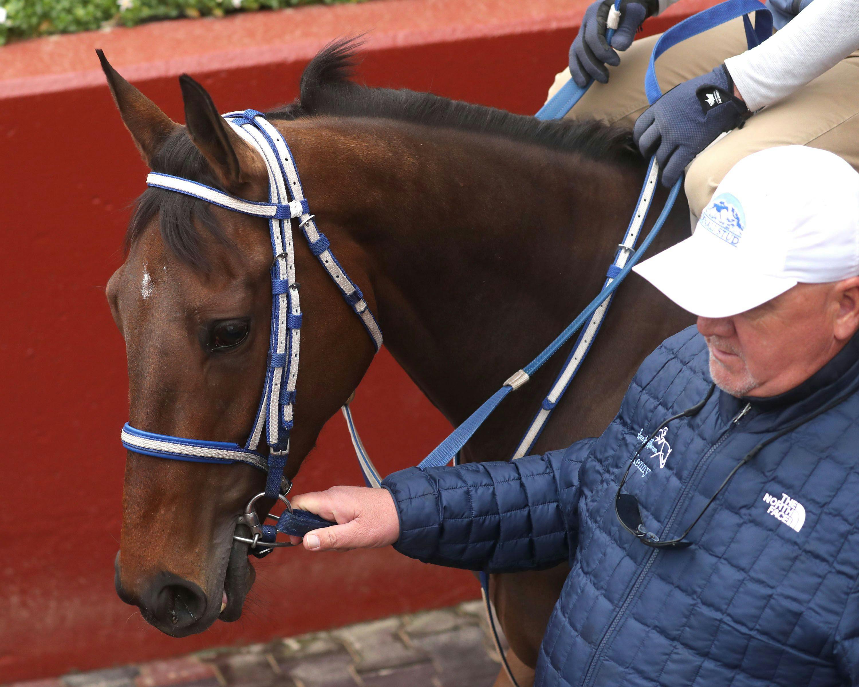 Thorpedo Anna training at Oaklawn Park. 