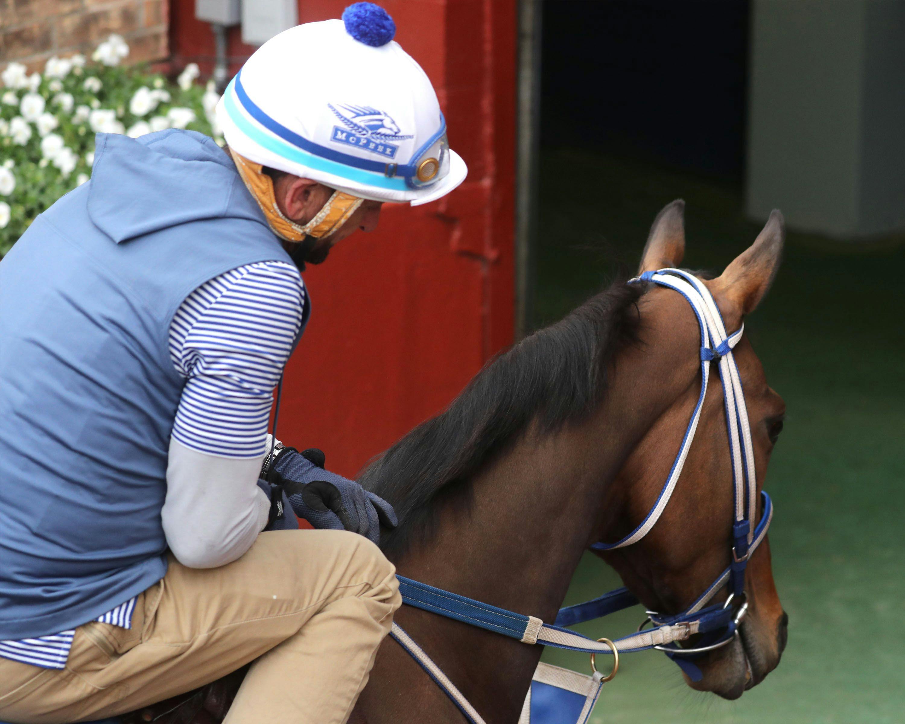 Thorpedo Anna training at Oaklawn Park. 