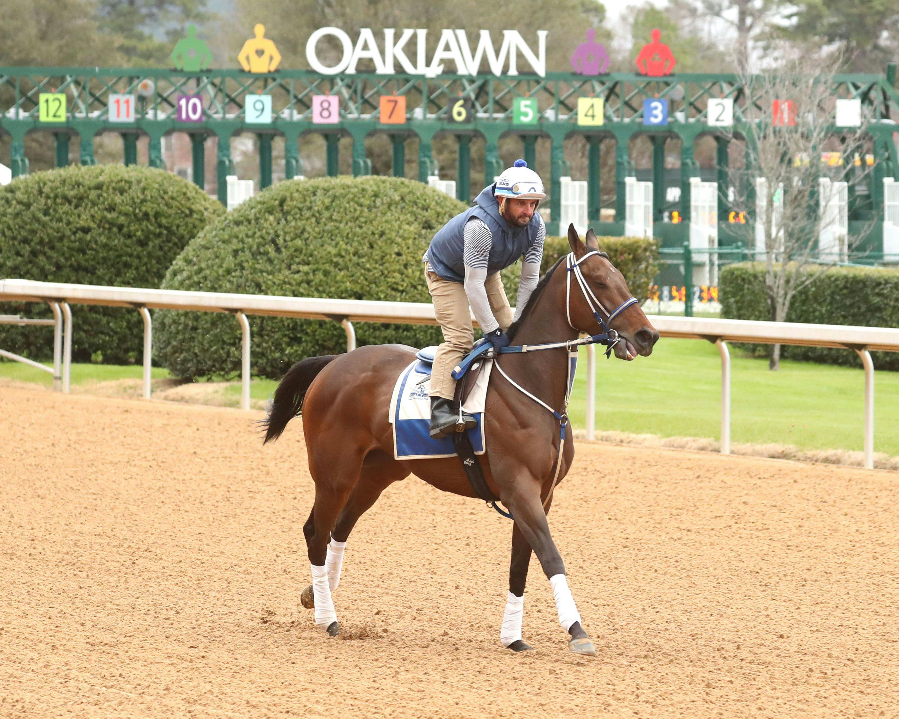 Thorpedo Anna training at Oaklawn Park. 