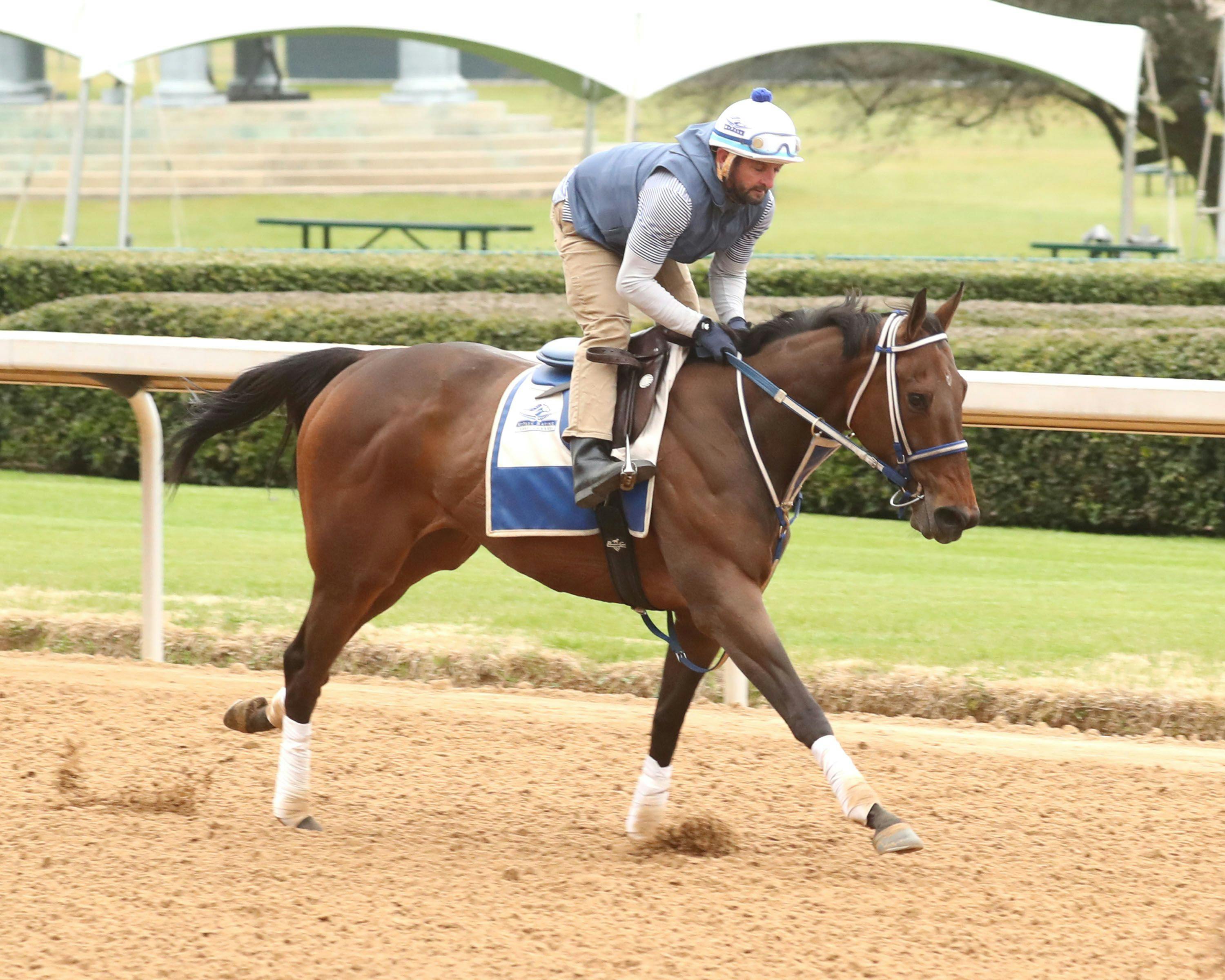 Thorpedo Anna training at Oaklawn Park. 