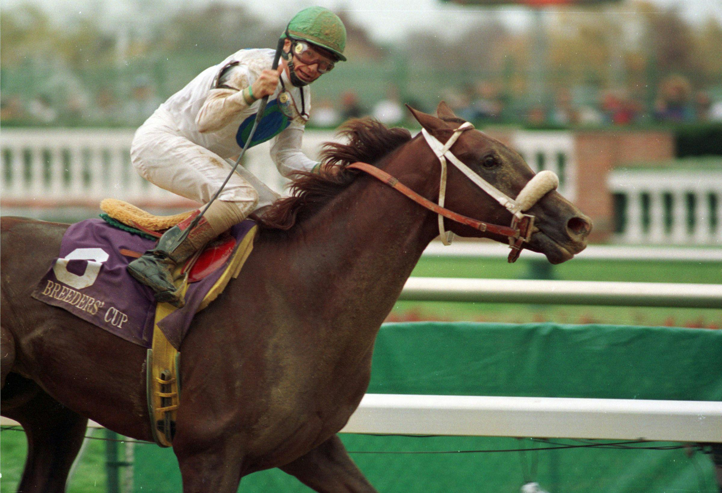 Timber Country, with Pat Day aboard, wins the 1994 Breeders' Cup Juvenile