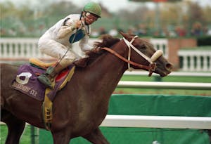 Timber Country, with Pat Day aboard, wins the 1994 Breeders' Cup Juvenile