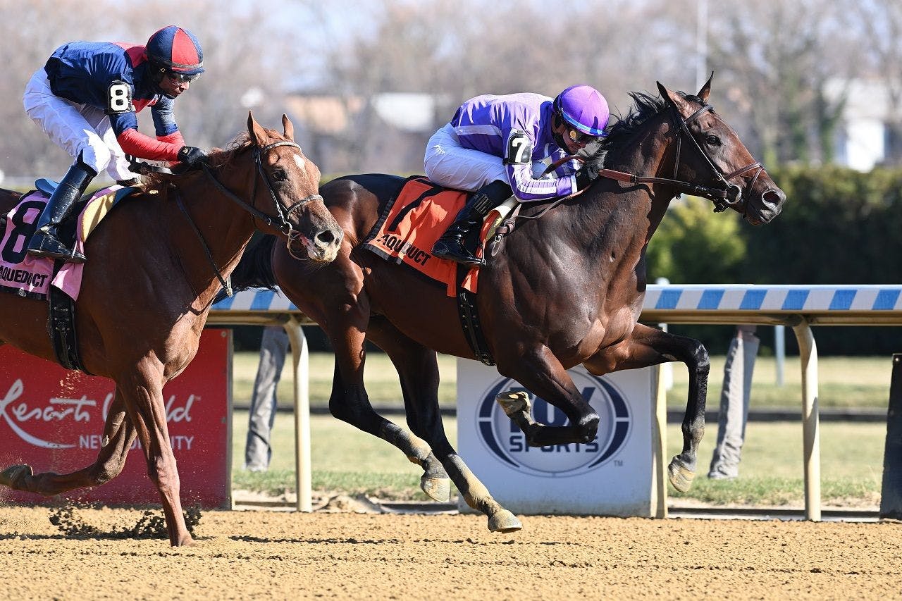 Treaty of Rome winning a maiden special weight at Aqueduct (Photo by Coglianese Photos)