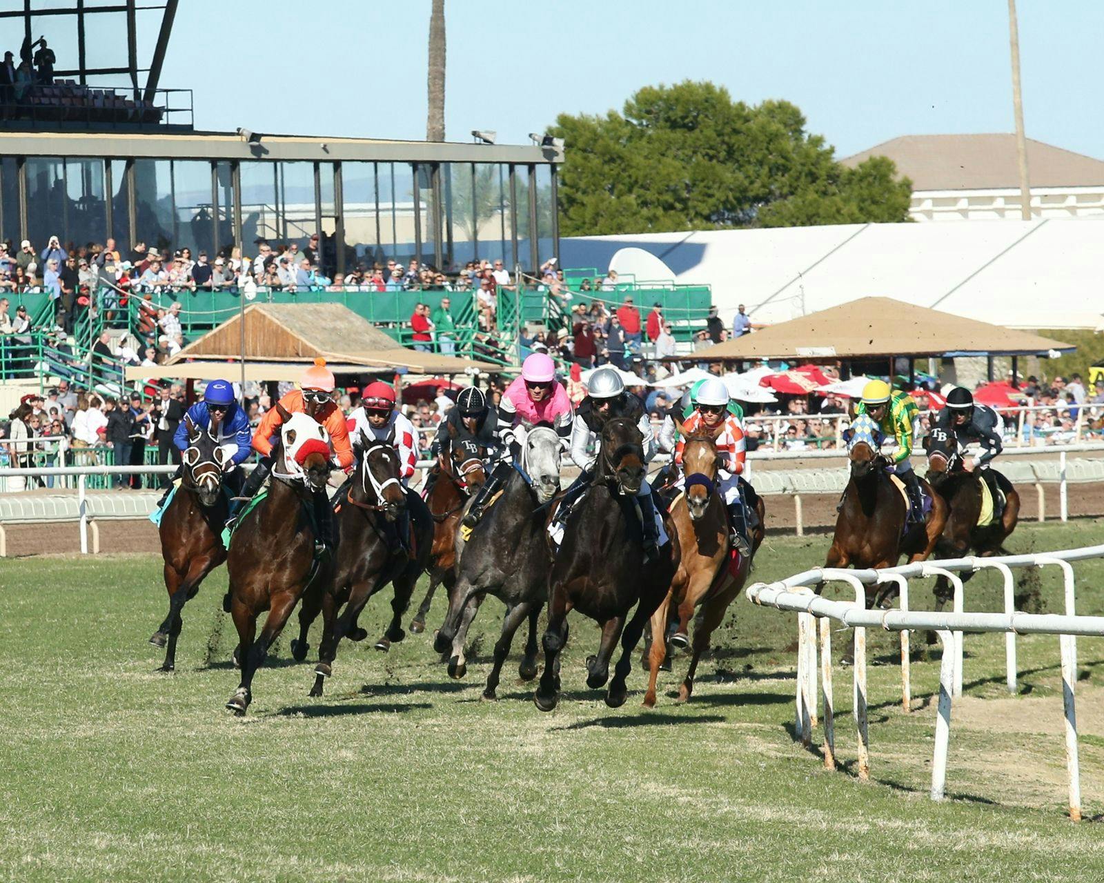 Online horse racing wagering is now legal in Arizona TwinSpires