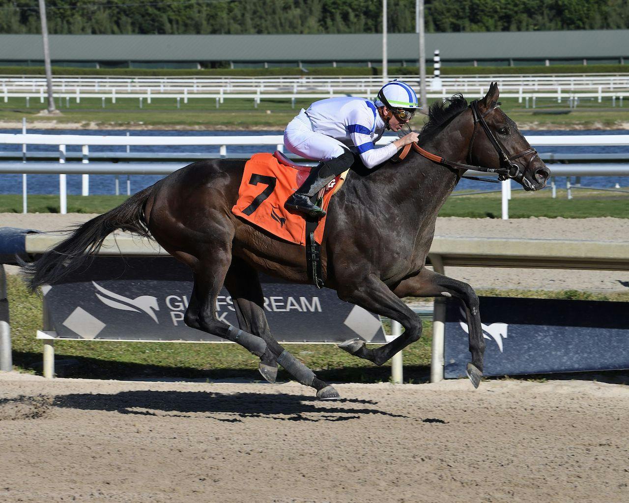 Why I’m betting Tuscan Gold to win the Preakness Stakes | TwinSpires