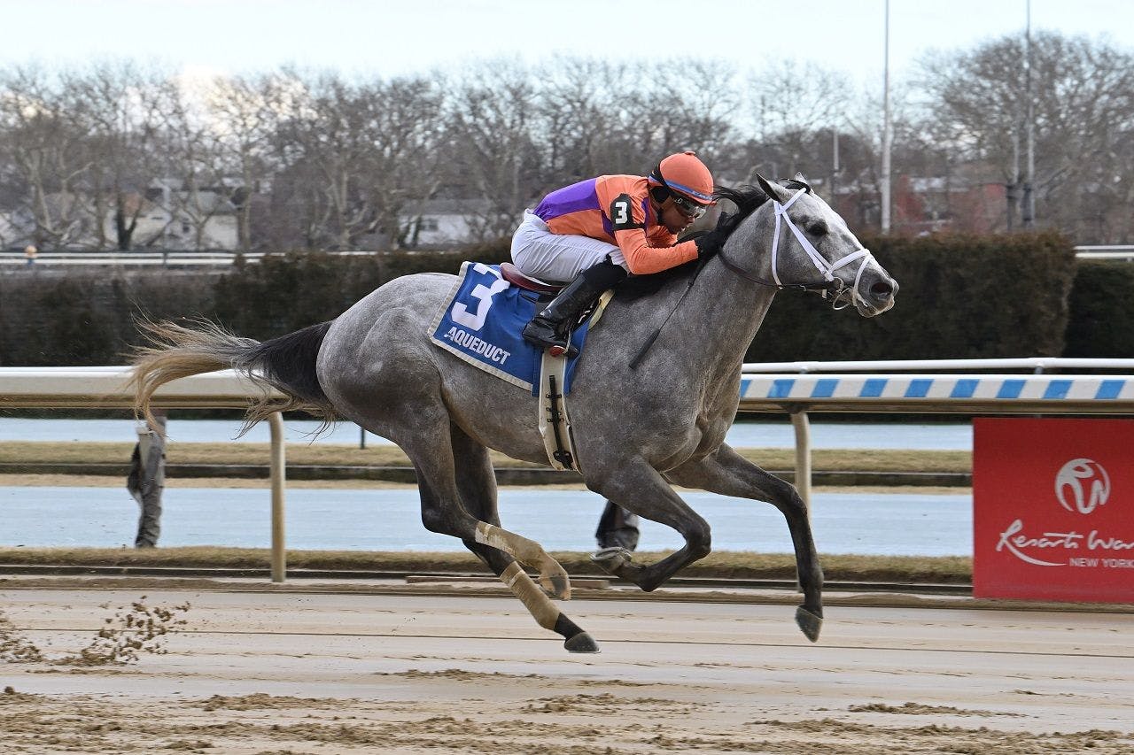 Tuscan Sky winning his debut at Aqueduct (Photo by Coglianese Photos)