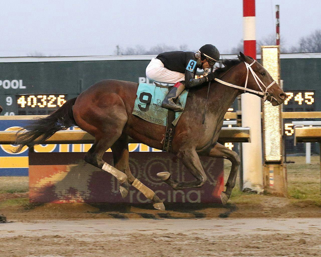 Meet the Contenders 2024 Withers Stakes TwinSpires