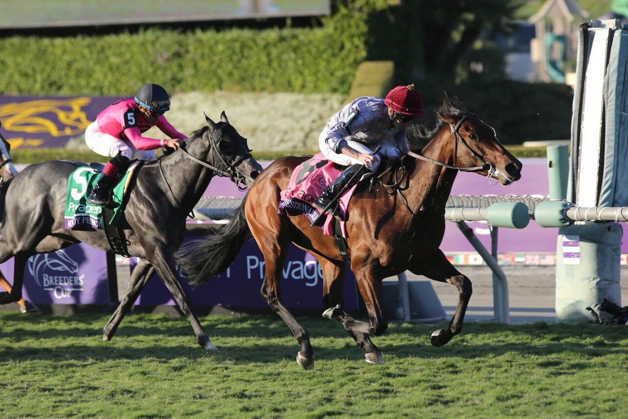 Unquestionable wins the 2023 Breeders Cup Juvenile Turf (G1) at Santa Anita (Photo by Horsephotos.com)
