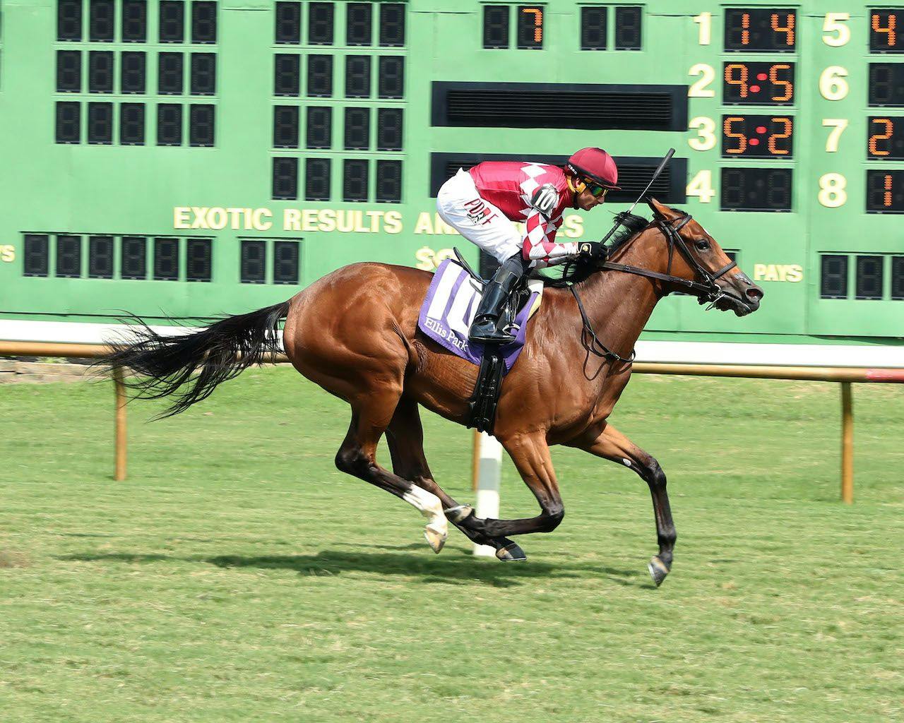 Vixen wins at Ellis Park.