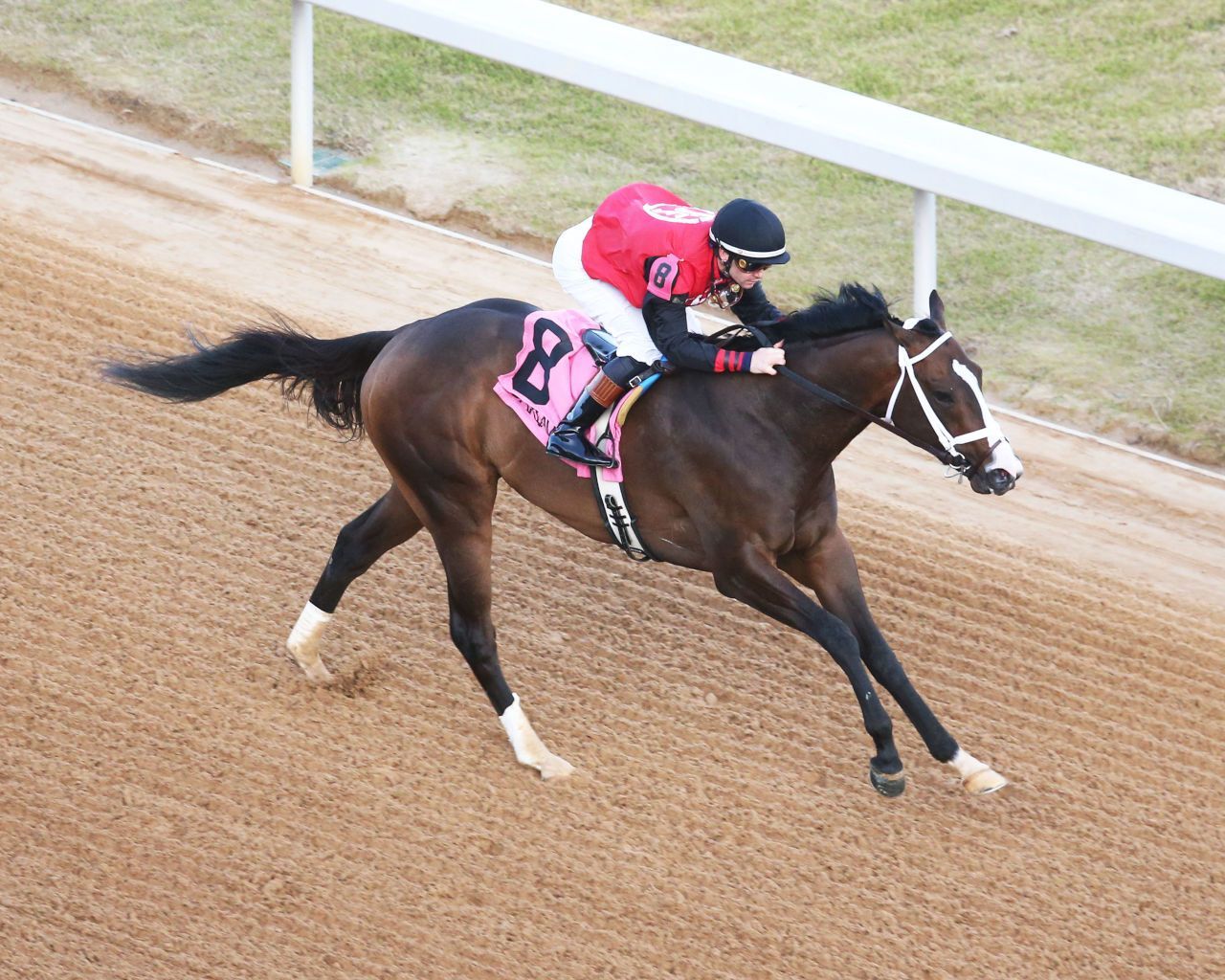 Kentucky Derby Pedigree Profile: Victory Formation | TwinSpires