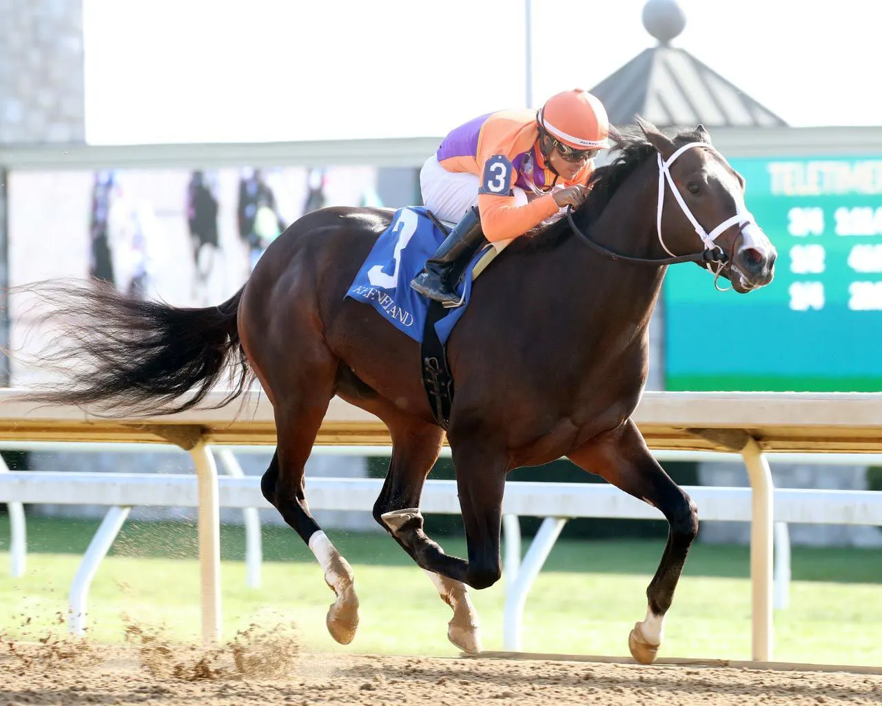 Racing Roundtable: New Year's weekend and beyond in 2023 | TwinSpires