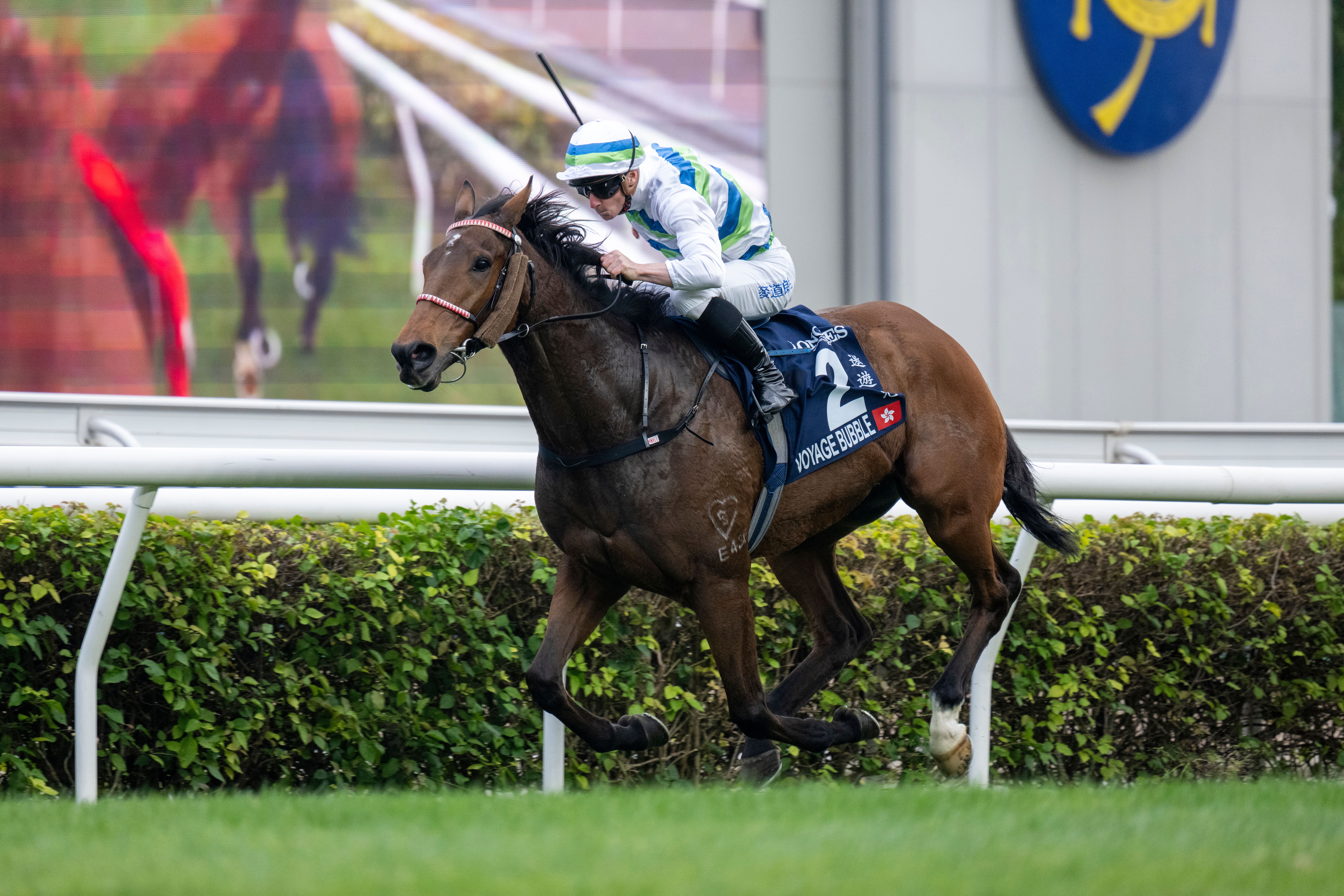 Voyage Bubble wins the Hong Kong Mile (G1)