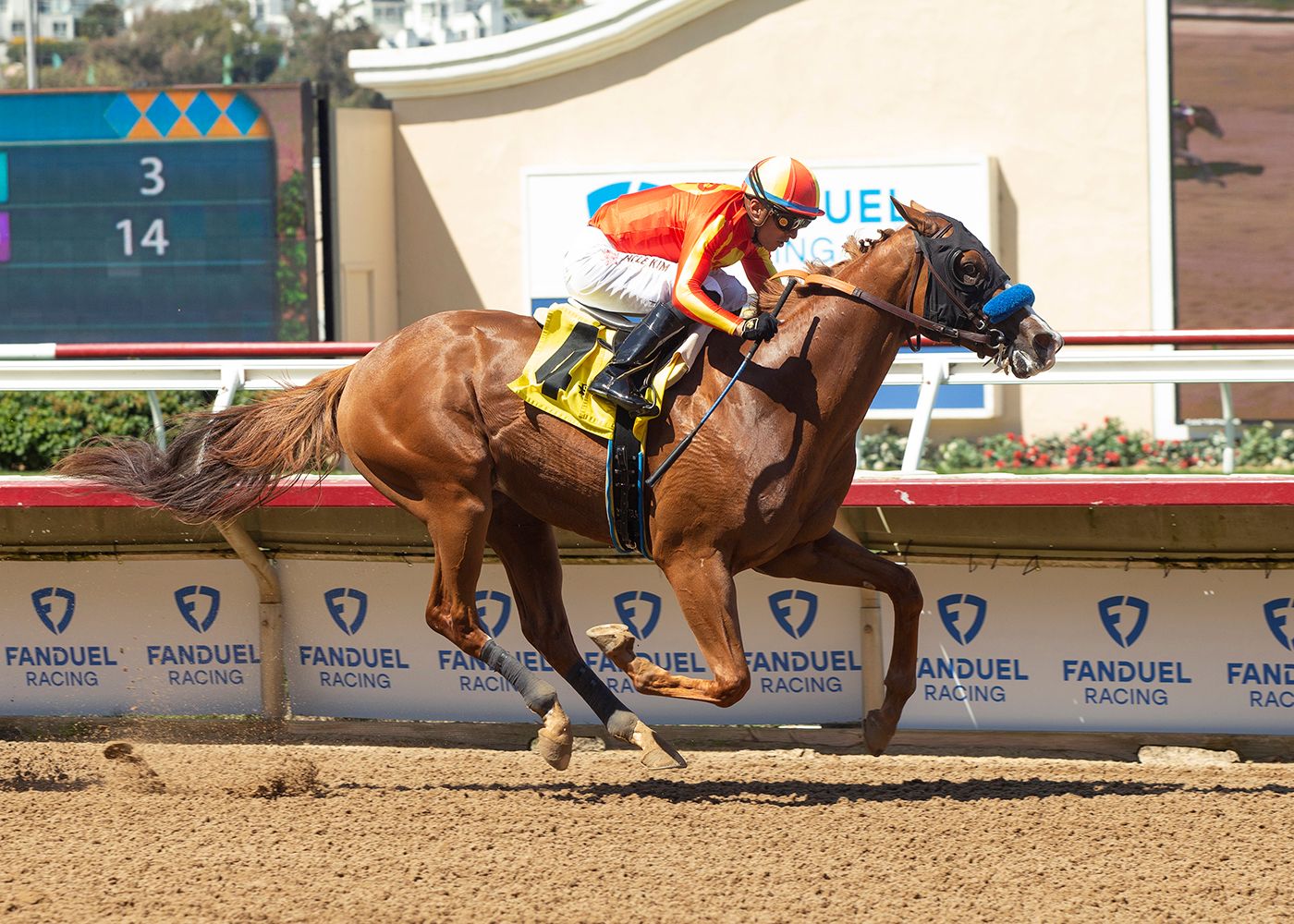 Meet The Contenders: 2024 Robert B. Lewis Stakes | TwinSpires