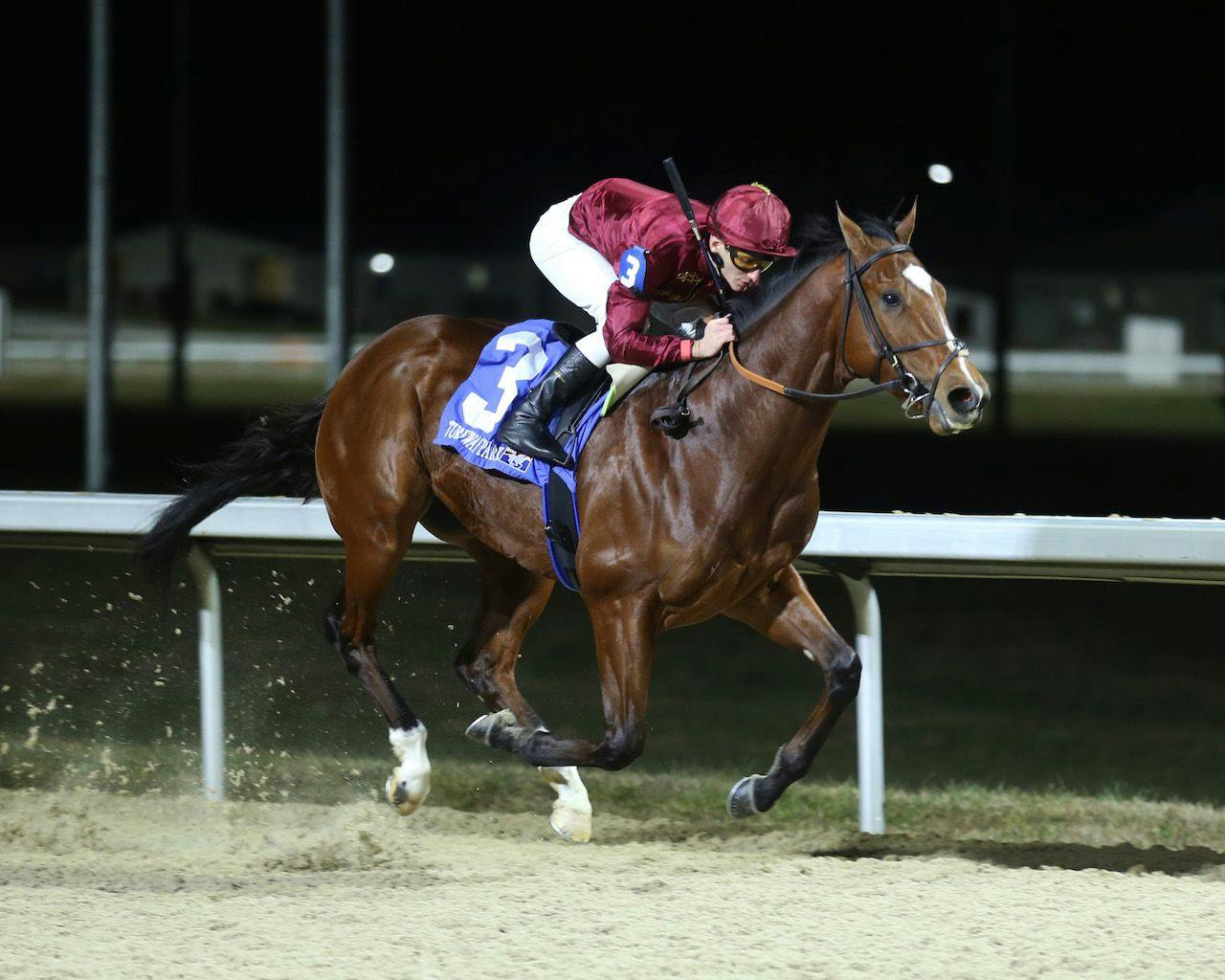 Meet the Contenders 2024 Jeff Ruby Stakes TwinSpires