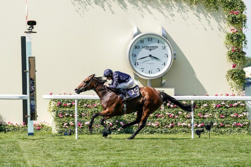 Hong Kong 2023 International Races Preview TwinSpires