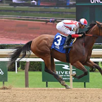 Ways and Means wins the Bed o' Roses S. at Belmont at Saratoga 2025 (Photos by Coglianese Photos/Chris Rahayel)