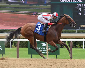 Ways and Means wins the Bed o' Roses S. at Belmont at Saratoga 2025 (Photos by Coglianese Photos/Chris Rahayel)