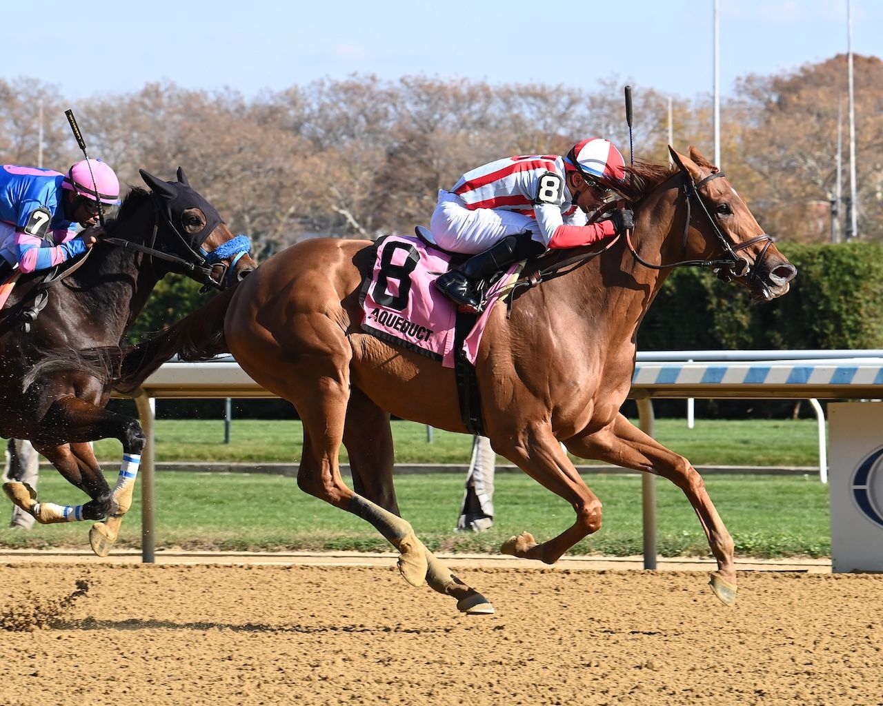 Weigh the Risks wins the Pumpkin Pie at Aqueduct. 