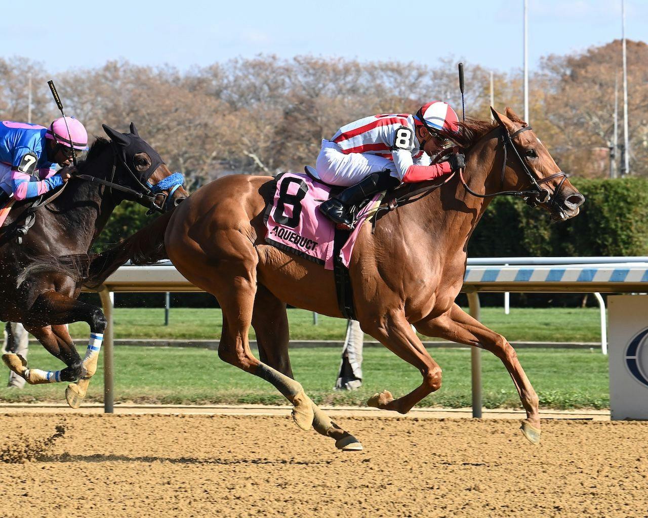 Weigh the Risks wins the Pumpkin Pie at Aqueduct.