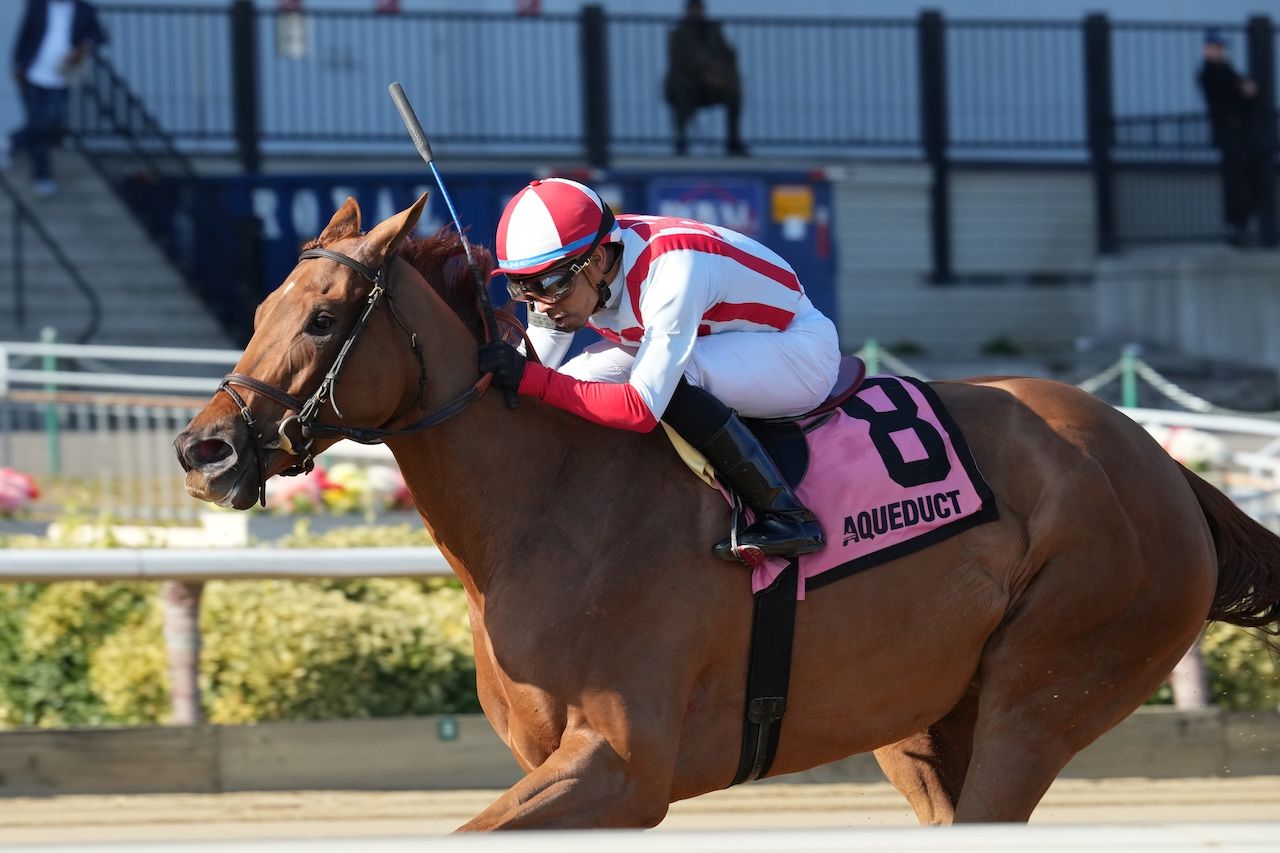 Weigh the Risks wins the Pumpkin Pie at Aqueduct. 