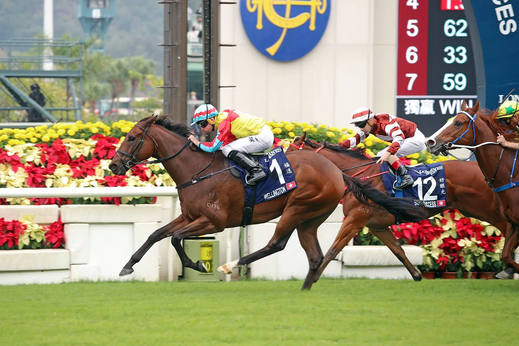 Hk Racing History Royal Ascot 2023: Hong Kong's Wellington looms in Queen Eliz | TwinSpires