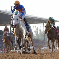 White Abarrio wins the Breeders' Cup Classic