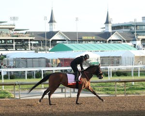 Where's My Ring doing a morning workout at Churchill Downs.