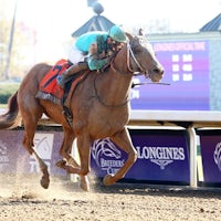 Whitmore winning the 2020 Breeders' Cup Sprint (G1) at Keeneland (Photo by Coady Photography)