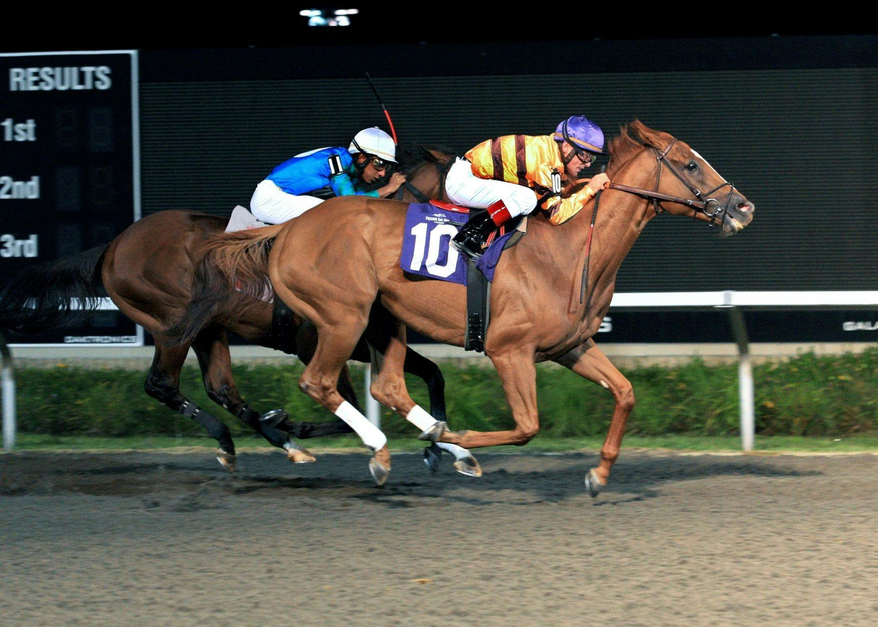 Hall of Famer Wise Dan won the 2011 Presque Isle Mile