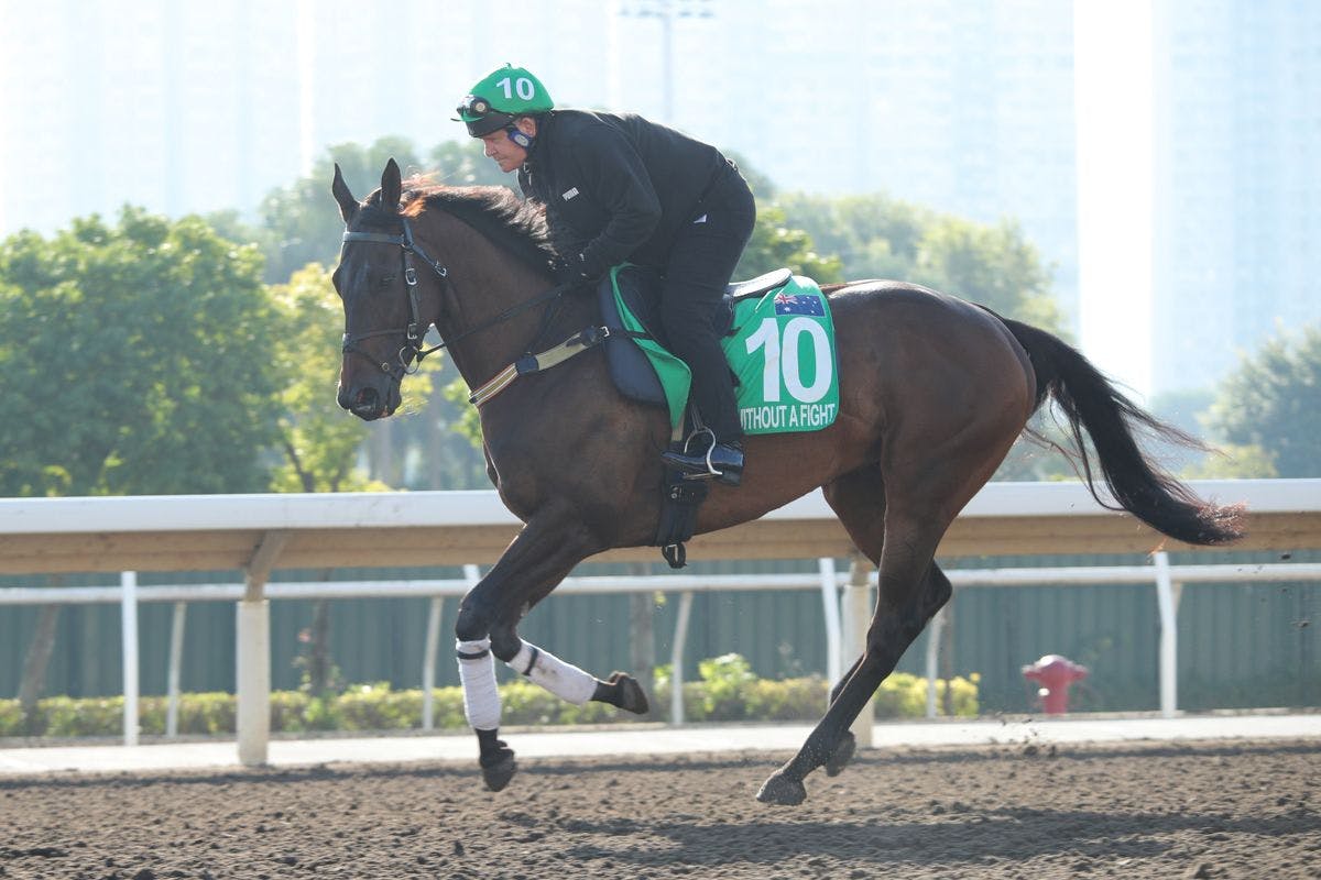 Without a Fight training for the Hong Kong Vase