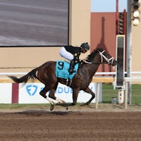 Wood stock wins the Gaylord Memorial Stakes at Remington Park.