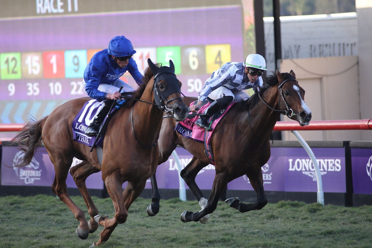 Meet the 2022 Breeders Cup Turf contenders TwinSpires