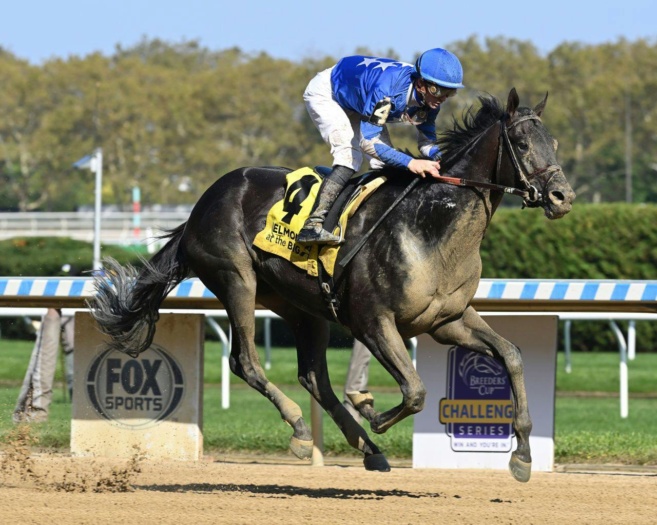 Vosburgh Stakes Odds & Free Picks [2023]