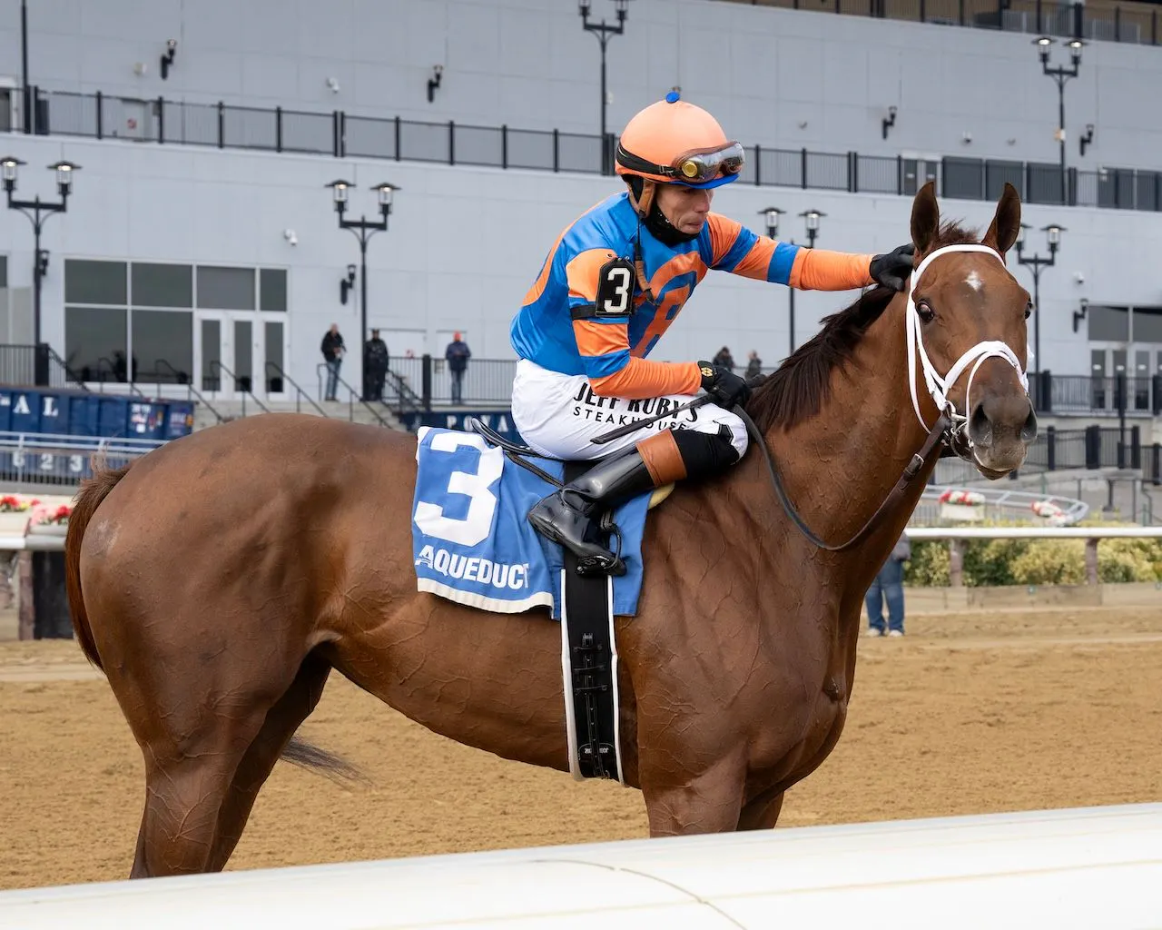 Zany wins the Demoiselle at Aqueduct.