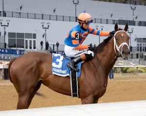 Zany wins the Demoiselle at Aqueduct.