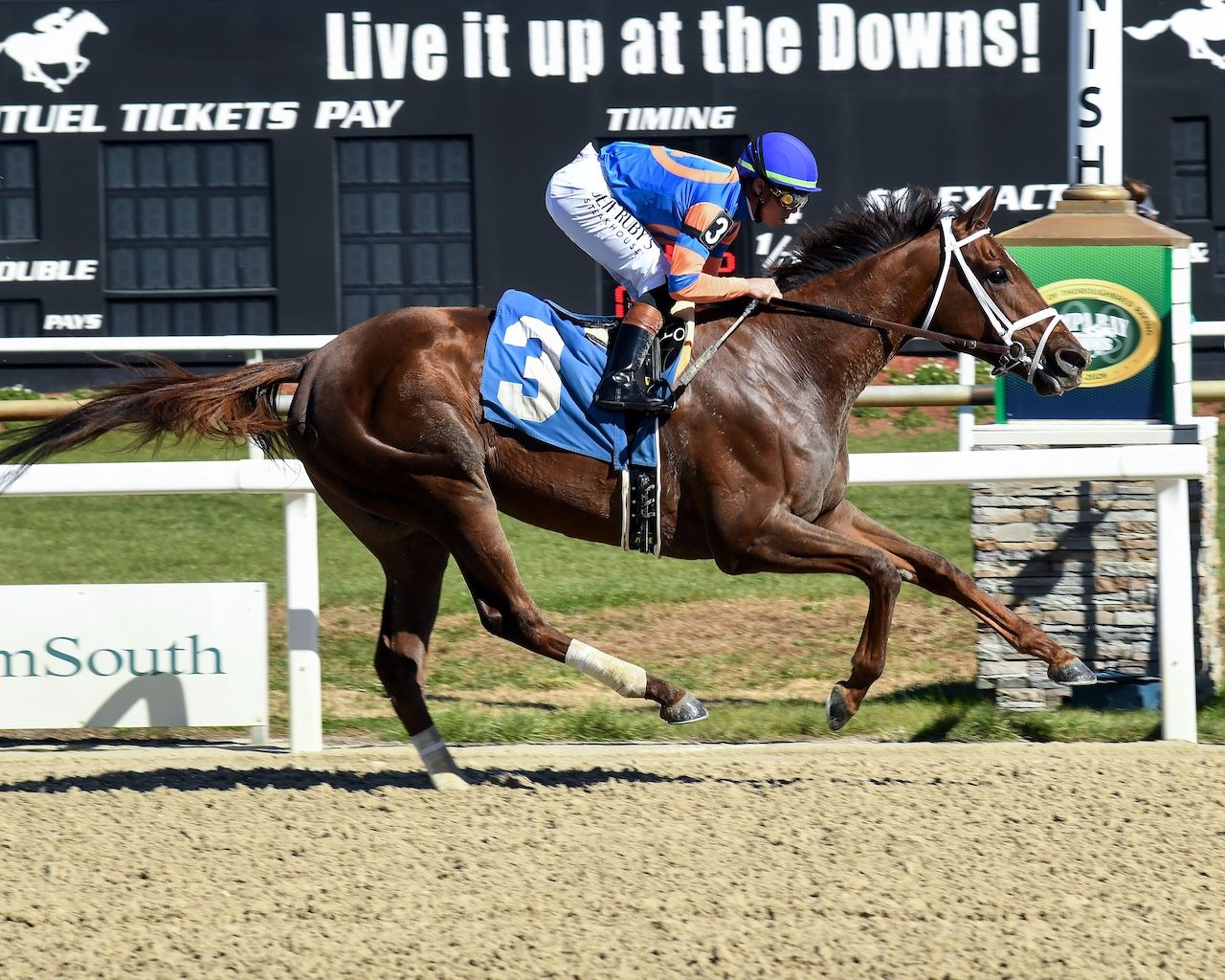 Zany wins the Suncoast Stakes at Tampa Bay Downs.