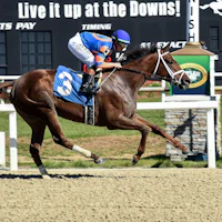 Zany wins the Suncoast Stakes at Tampa Bay Downs.