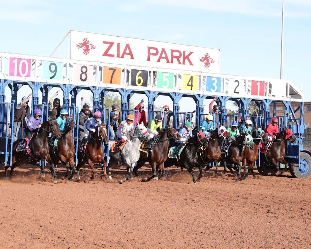 Keeler Johnson’s picks and plays of Nov. 14, 2023 TwinSpires