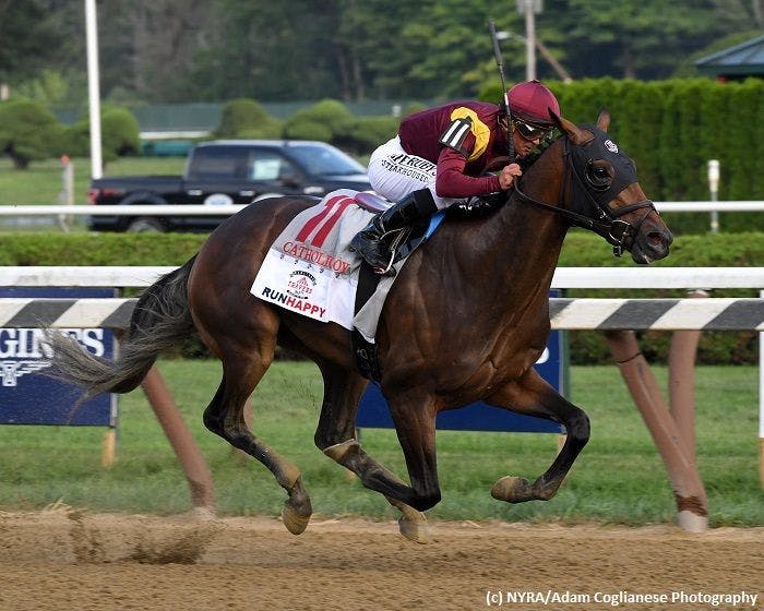 A look at the Breeders' Cup Classic field since the Future W TwinSpires