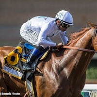Hard to Justify at Santa Anita (Photo by Horsephotos.com)