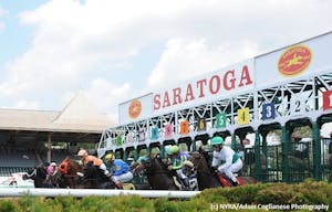 Saratoga Starting Gate